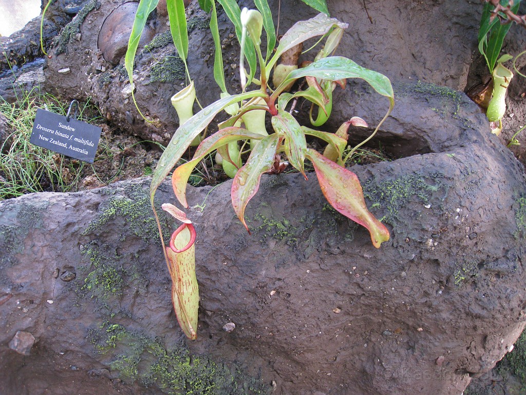 Michigans West Coast 2009 0480.jpg - Labor Day 2009. A trip along Michigans west coast to see beachs, art and buffets.